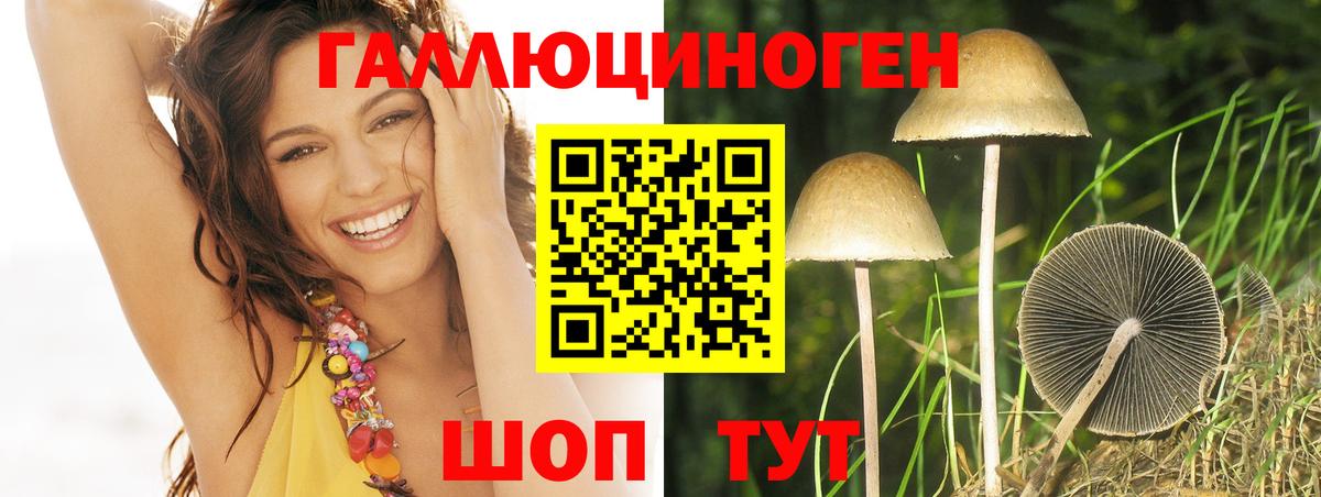 Галлюциногенные грибы Cubensis Азов