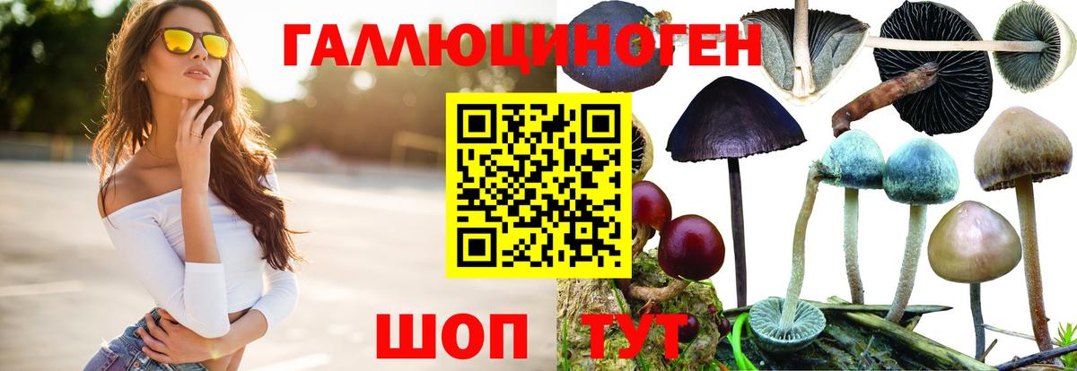 Азов  Псилоцибиновые грибы GOLDEN TEACHER  Вход с VPN 
